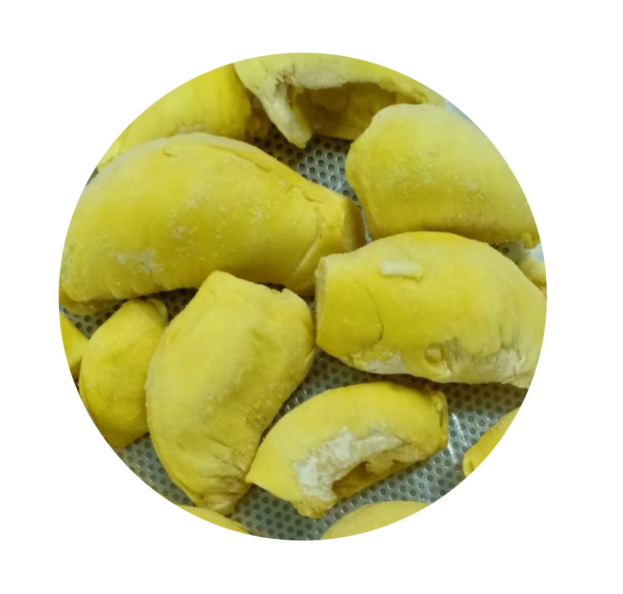 High Quality Premium Frozen Durian Piece Puree Monthong from Manufacture from Thailand OEM