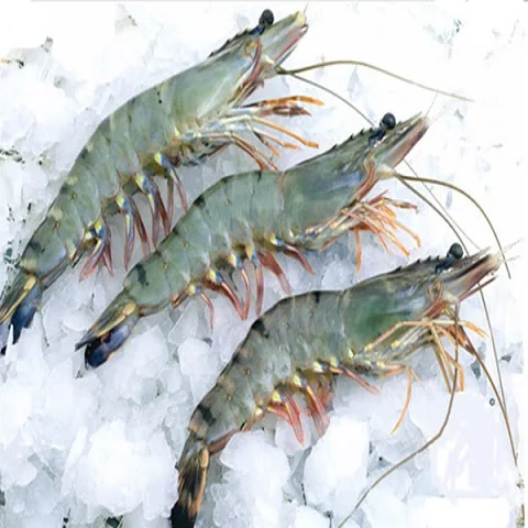 Black Tiger Shrimp Variety Vietnam Premium Quality Frozen Black Tiger Shrimp Export From Vietnam