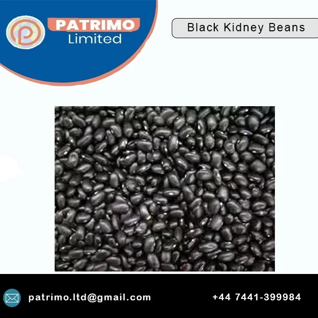 Хит продаж, высококачественная черная фасоль обычного натурального цвета по цене компании