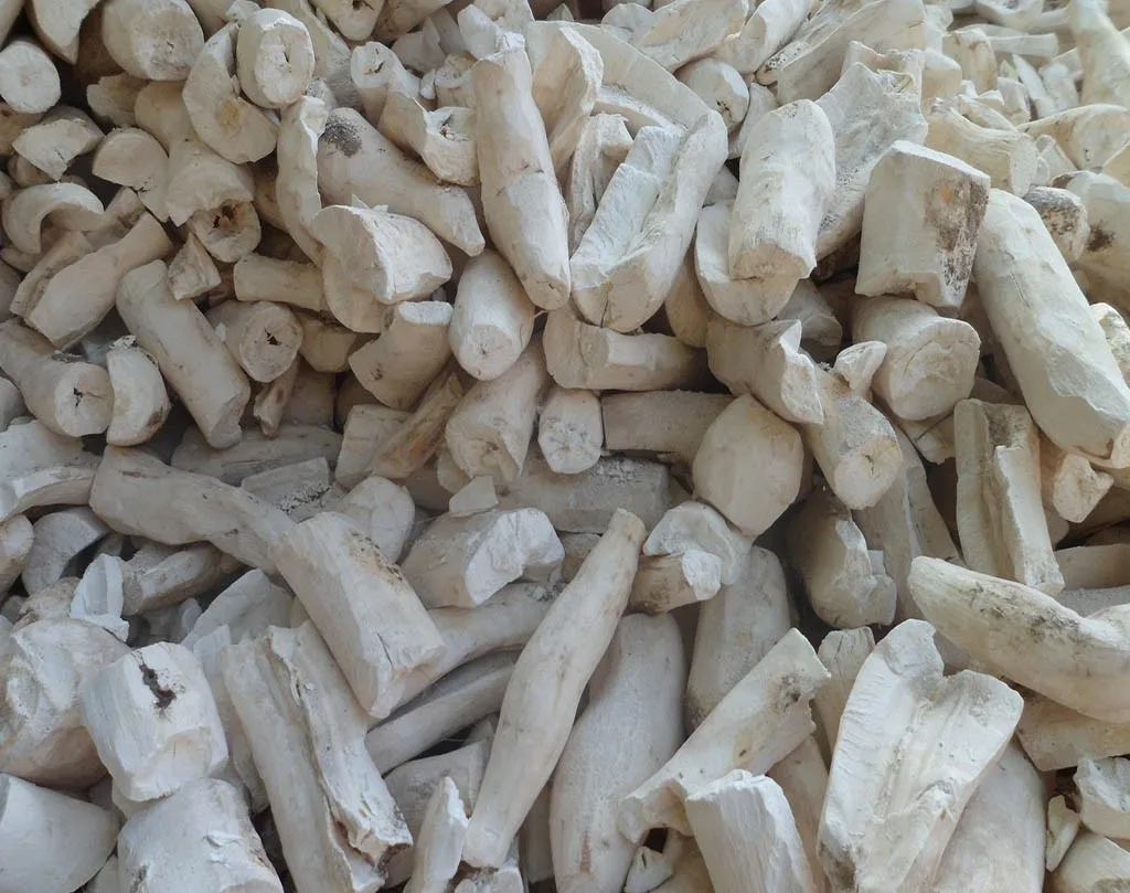 
Best Price High Quality Dried Slice Cassava 
