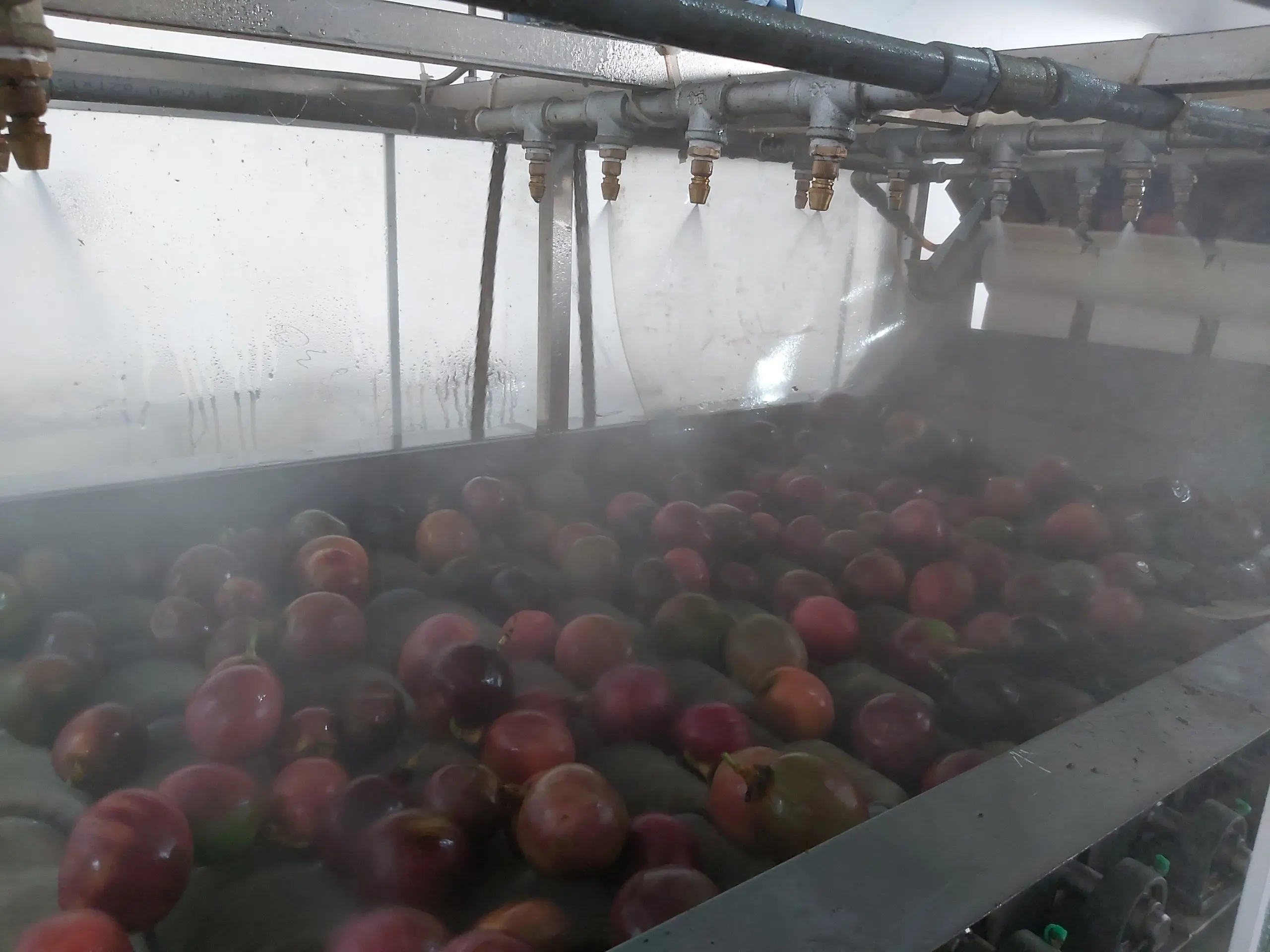  Замороженные страстные фрукты в пластиковой бутылке (WHATSAPP: + 84 948 256 975)