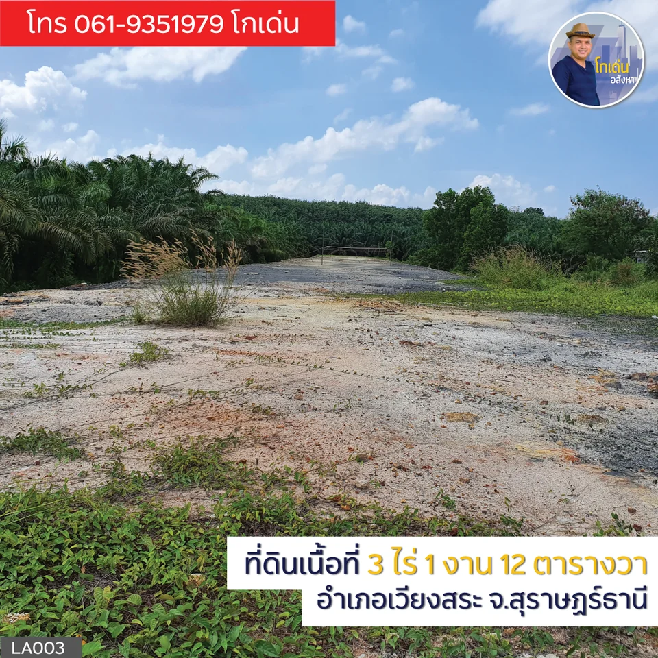 Land for Sale  Wiang Sa District  Surat Thani Thailand