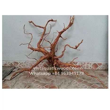 Горячие товары 2024 коряги для аквариума от Вьетнама WhatsApp 84 963 949 178