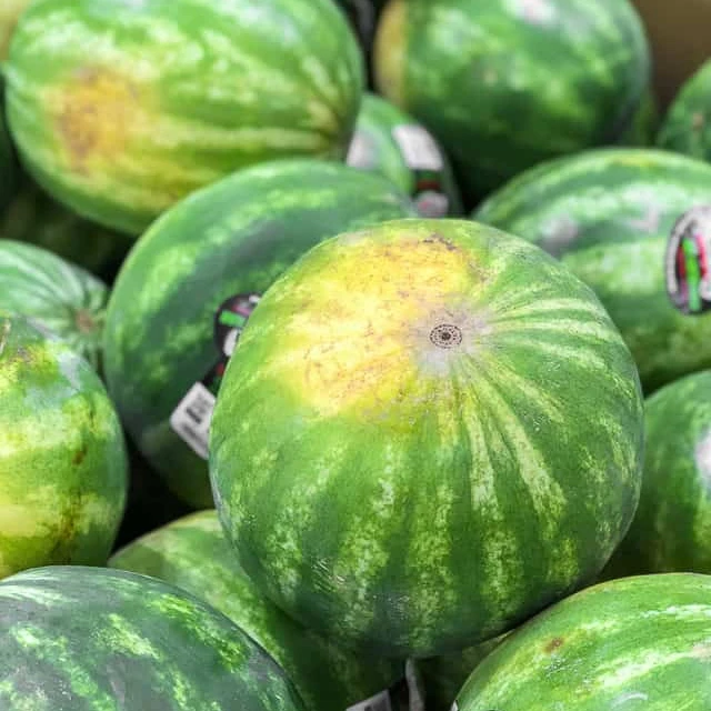 
Fresh WaterMelon 