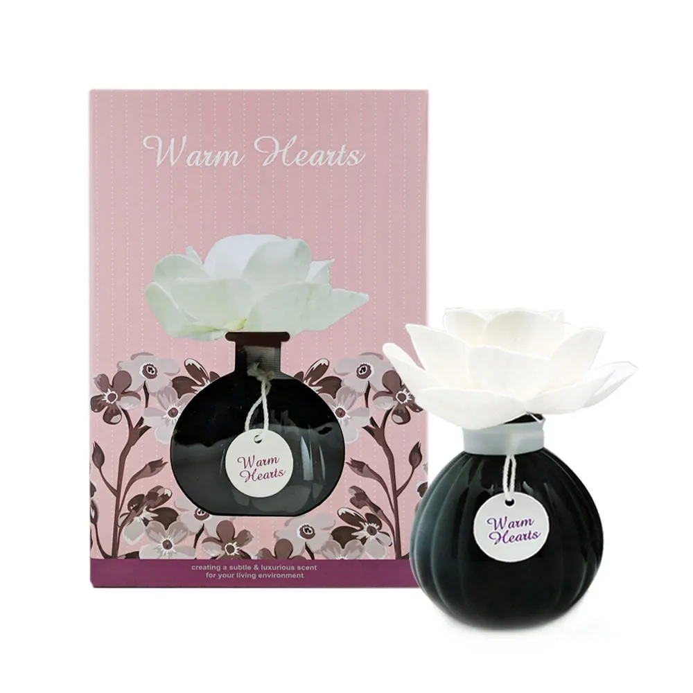 
Luxury Sola Flower Diffuser Black Glossy Glass Bottle Air Fragrance Long Lasting Scents 140ml Home Fragrance 