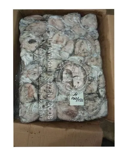 Altawakal Frozen Foods Hot Selling Frozen Cuttlefish Delicious Nutritious Top Quality For Export from Pakistan