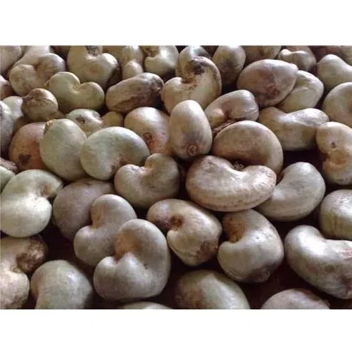 
Food Safety Dried Roasted Raw Cashew Nut with Sweet & Salt Taste Good for Health 