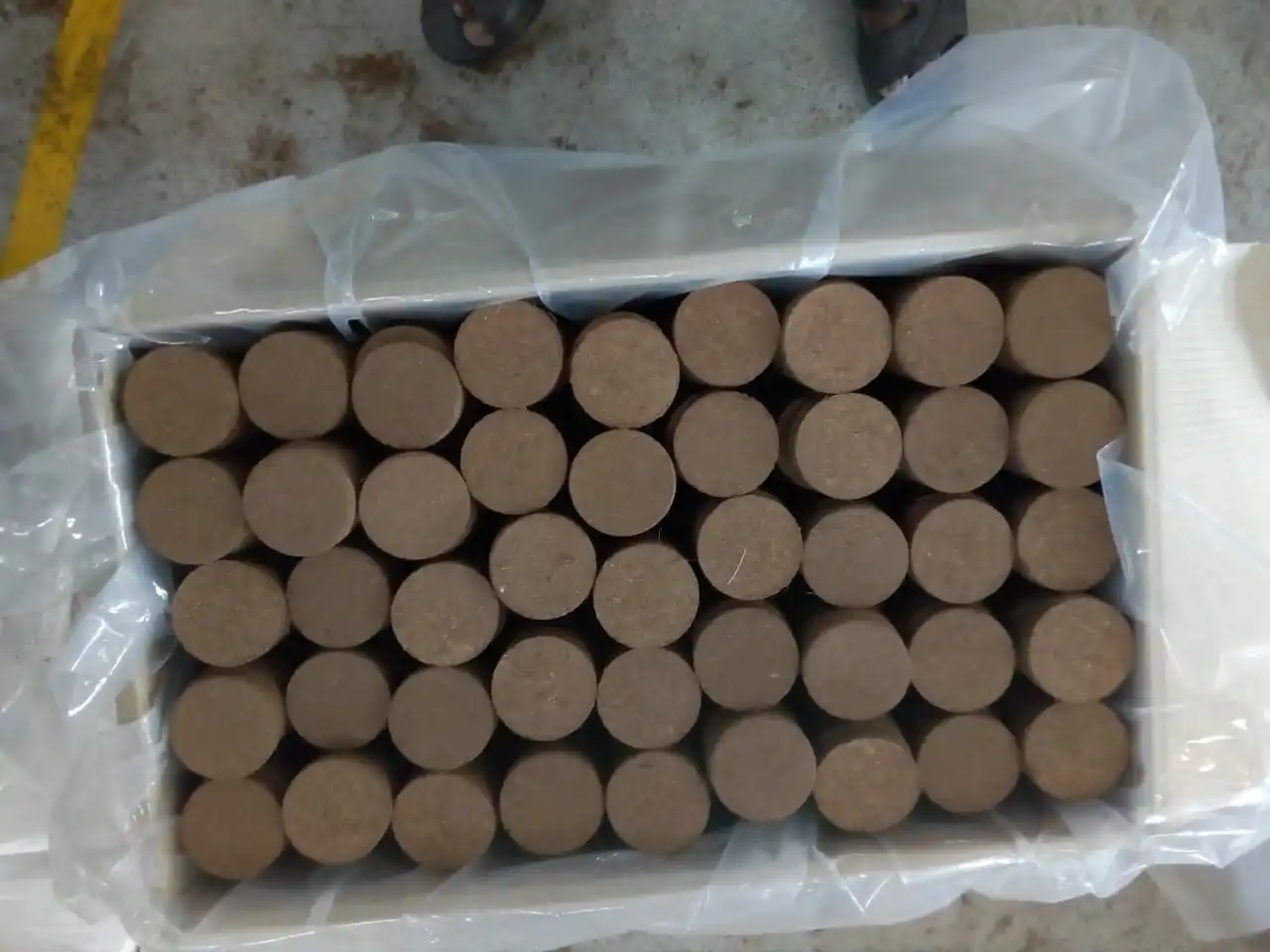 Coir Discs with trays blister pack for seed starting natural coconut coir jiffys