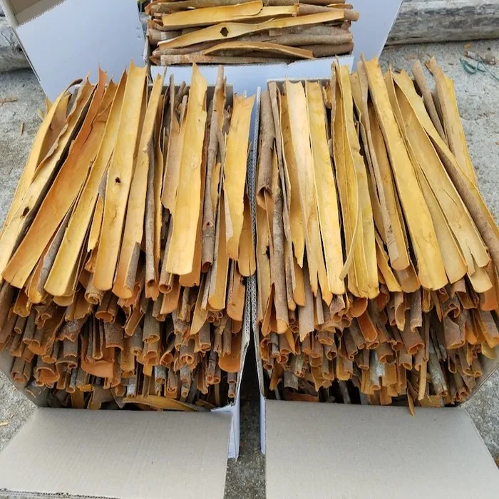 50Kg Cartons Cinnamon Exporters/ Vietnam Quality Split Cassia Best Price/Where To Buy 25Kg Cinnamon Split Cassia