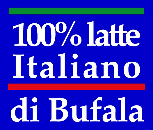 High quality Italian fresh cheese with creamy heart Burrata di Bufala tub 200g