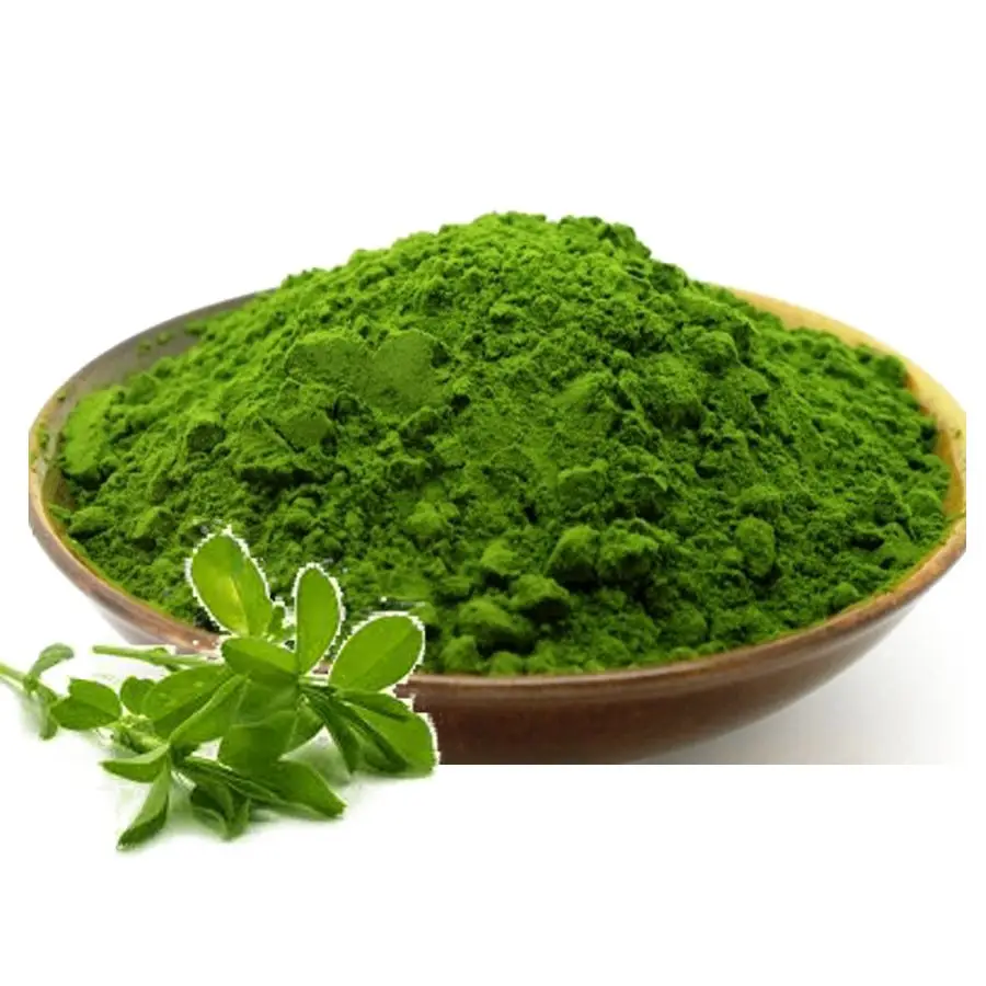 Best Quality  Indigo powder leading exporter supplier
