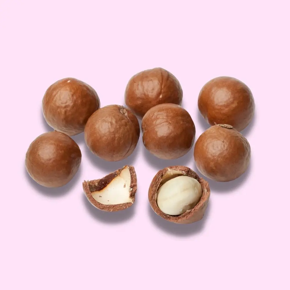 Сельскохозяйственные орехи macca смешанные макадамии необработанные закуски цены на