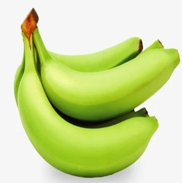 Philippine Premium Fresh Cavendish Banana Green Banana