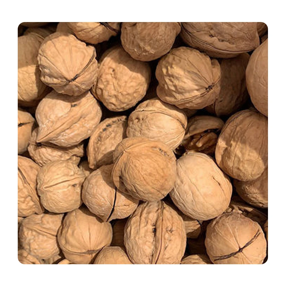 
Walnut Kernels Factory Price Bulk Packing Raw Bulk Supply Walnuts Chandler Inshel Walnuts 