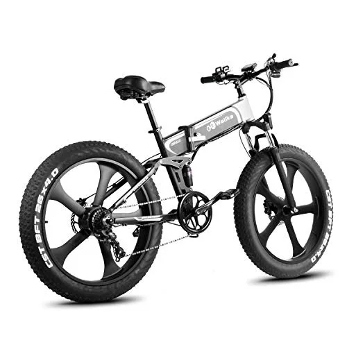NEWLY sales for full suspension 750W fat wheel electric bike