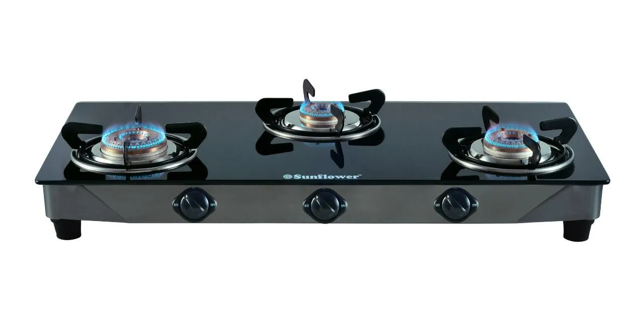 Home Kitchen High Quality Cooking Appliance Commercial Cooktop 2 Burner Gas Cooker Stove Price Top Stainless Steel Bag Gift Body