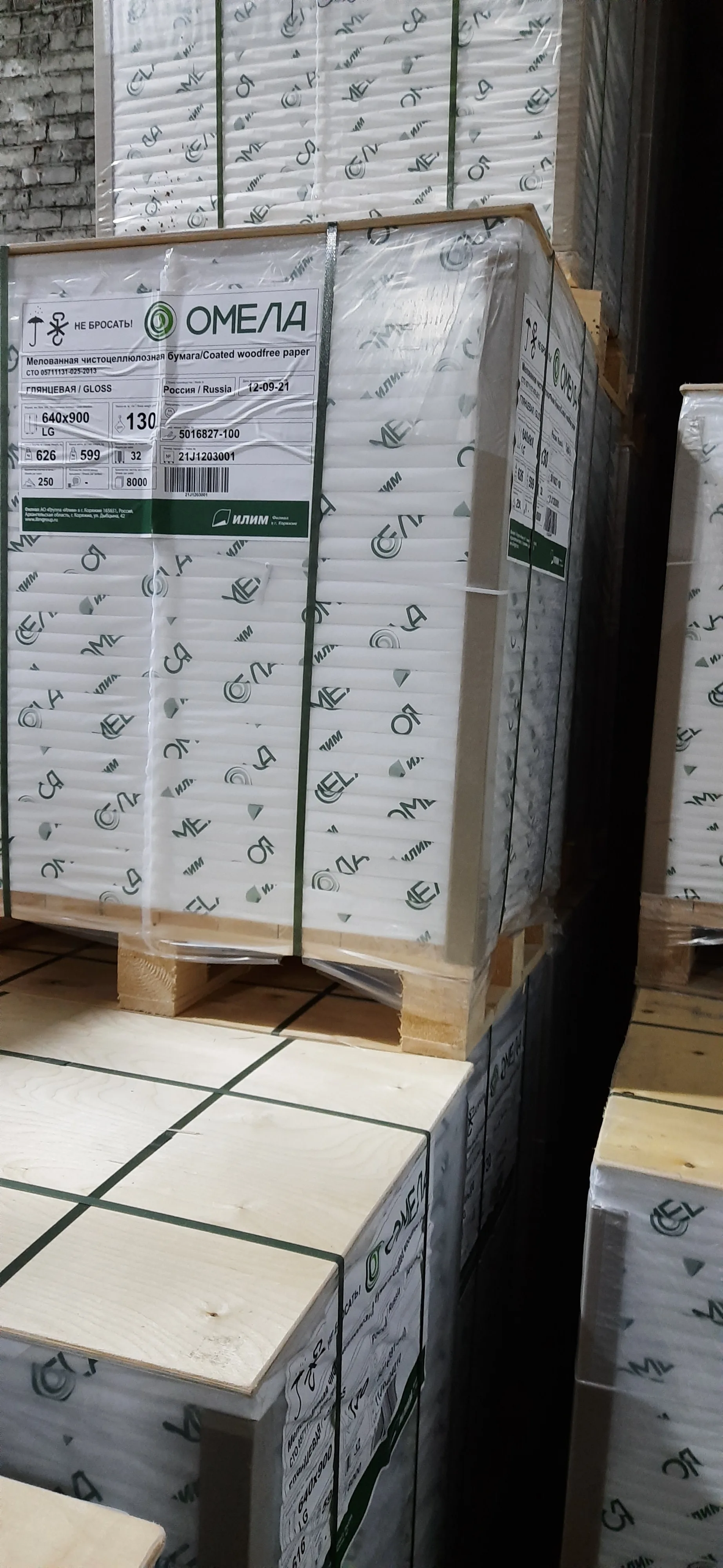 Coated wood free paper GLOSS