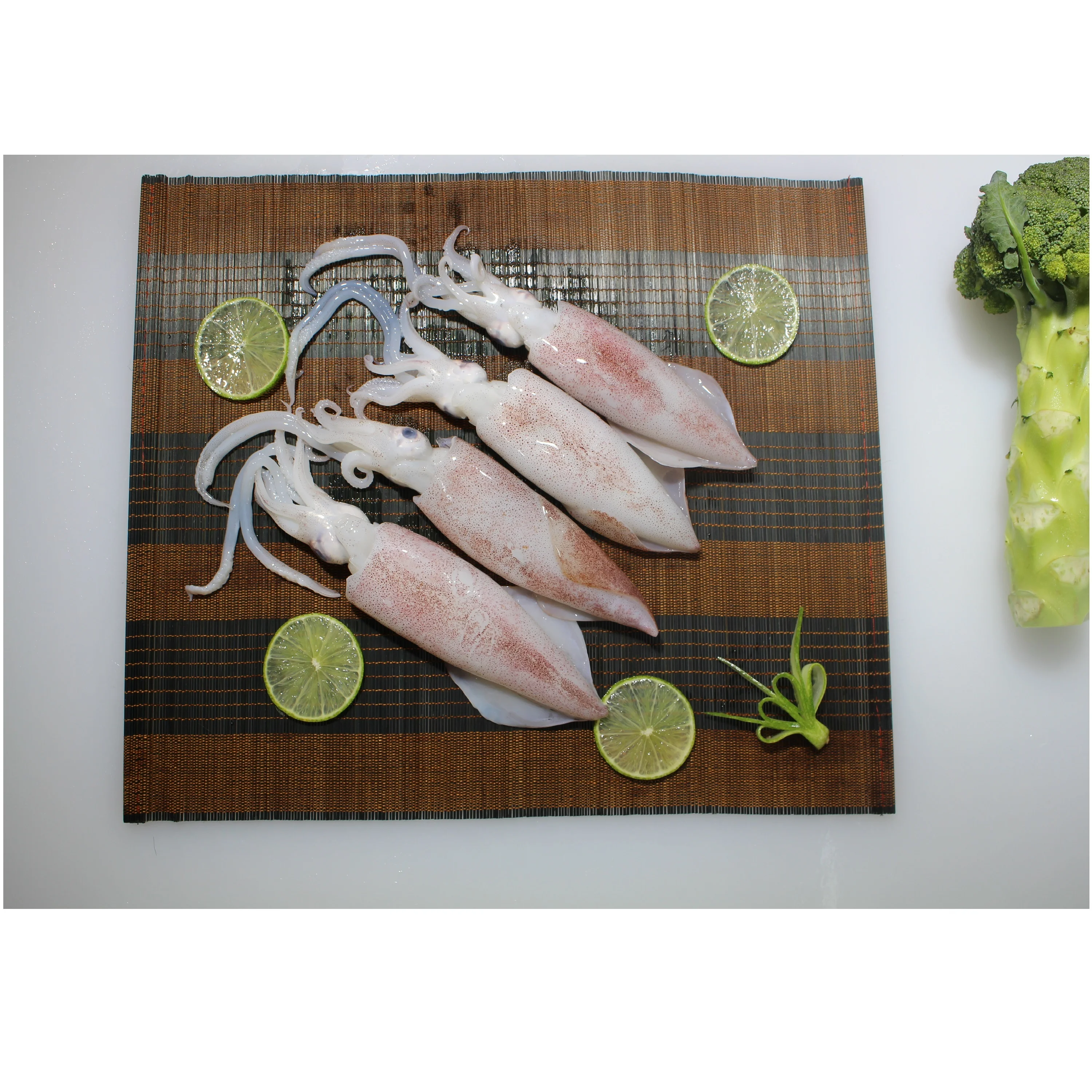 Fresh Whole Piece Shelf Life 12 Months In Vacuum Bag And Box Packaging Frozen Squid