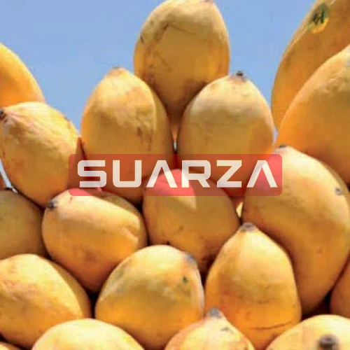 Farm Fresh Raw Carabao mango at lowest price  with best  quality / Premium quality Fresh Mango for export