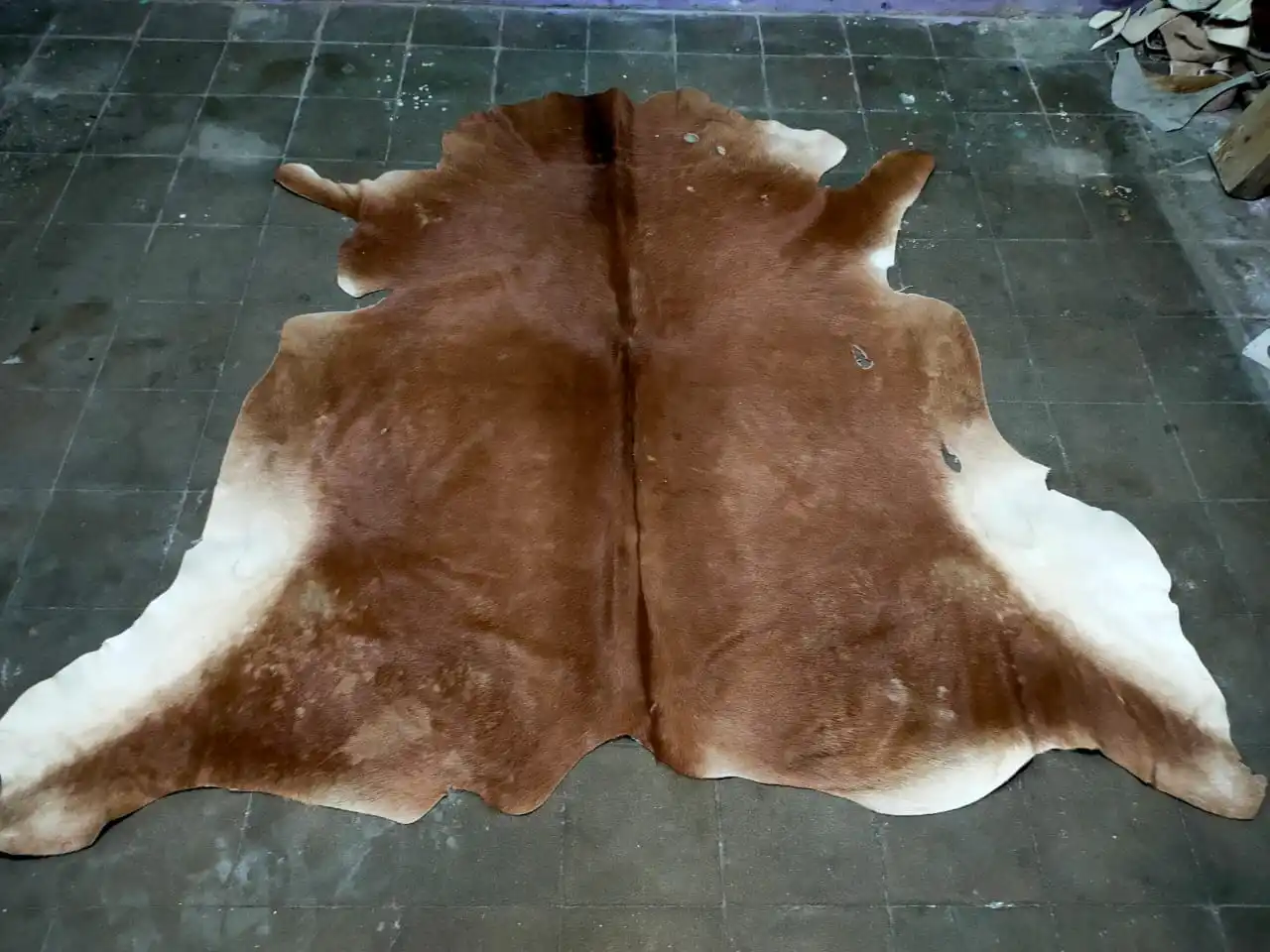 Cow Hides With Hair on Finished