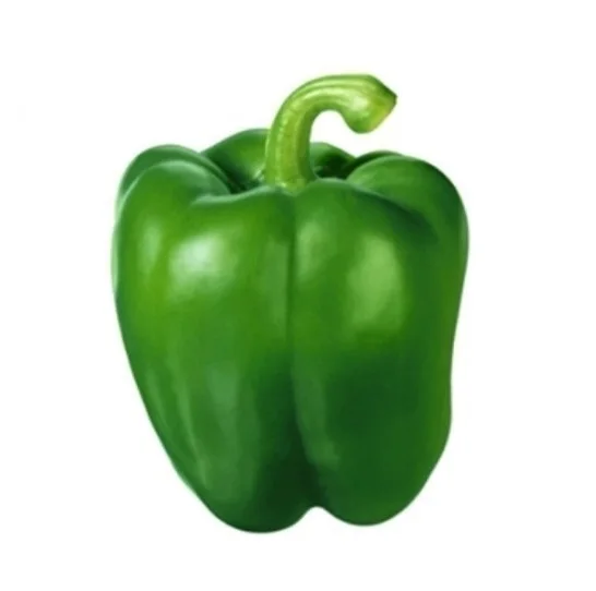 
Wholesale Dealer Of Fresh Vegetables Capsicum Large Stock Available 