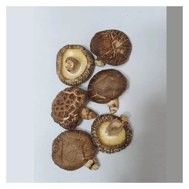  Оптовая продажа высушенный гриб экстракт черный цветок Dongko