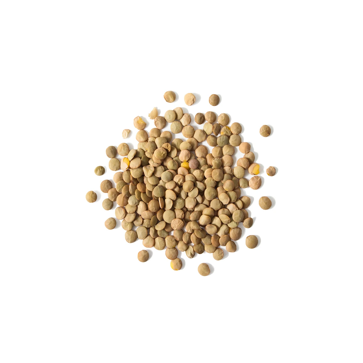 
Quality dried whole lentils natural food, red lentils 