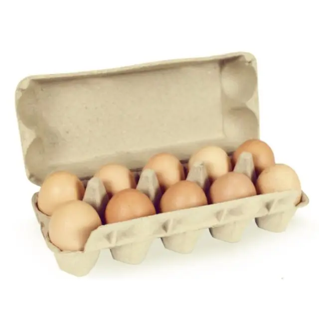 Egg Carton Paper Pulp Egg Tray From Thailand
