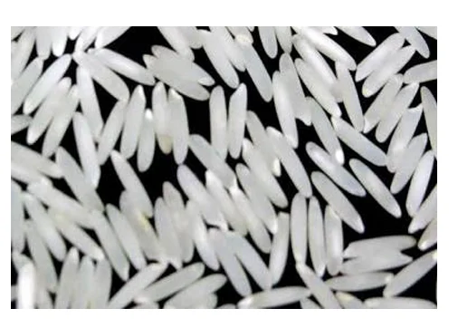 Hot Sale from Reliable Supplier Pakistan Good quality polished Pure Natural Super Kernel Basmati White Extra Long Grain Rice
