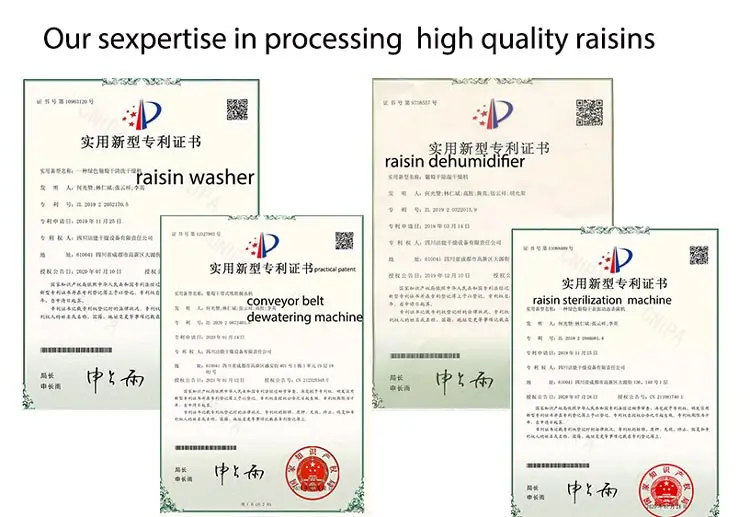 raisin-dehydrator-patents.jpg