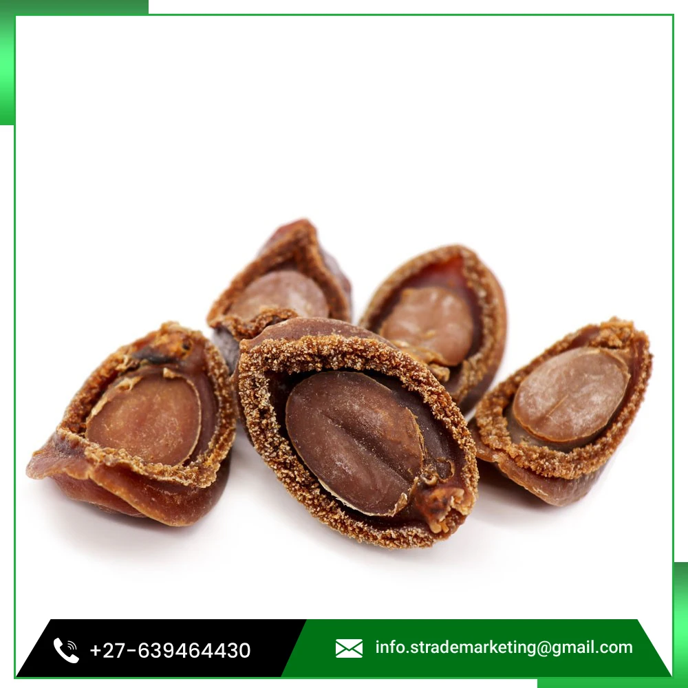 
Factory Direct Perfect Taste Dried Abalone for Good Health 