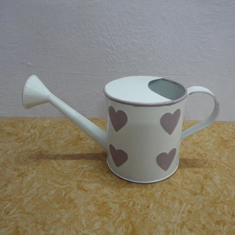 Декоративный Гальванизированный мини-тростник для полива сада и украшения дома, водные трости и кастрюли по оптовым ценам