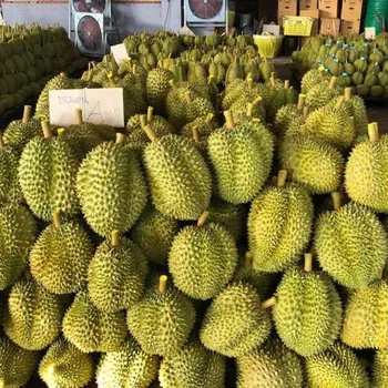 100% Premium Grade Fresh Durian Fruits from Thailand