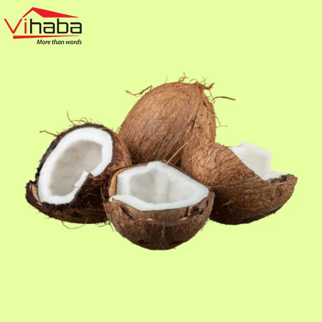 Top exporter dehydrated fruit organic coconut vietnam nuts and dried fruit export of coconut fiber