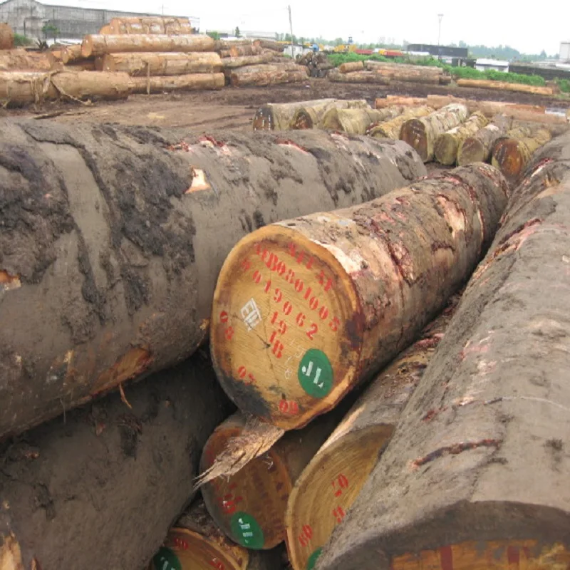 
Bubinga timber wood logs : Huge Demand Low Market Price Wood 