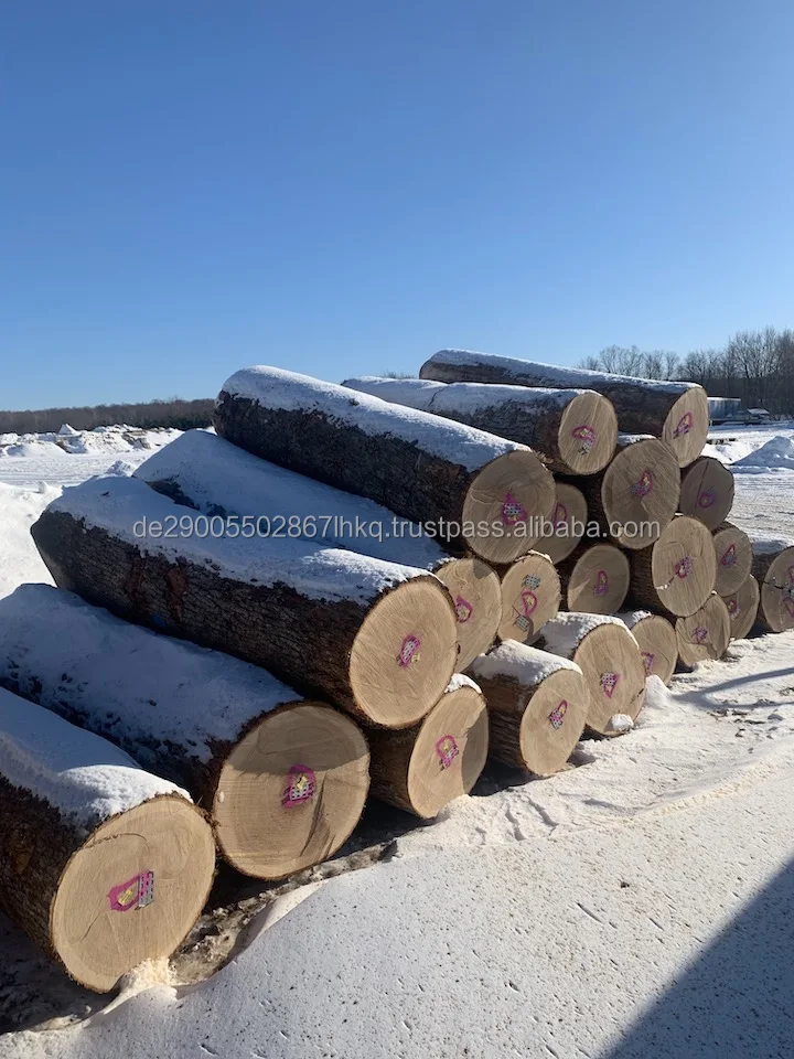 Red Oak 22up 4SC D.jpg