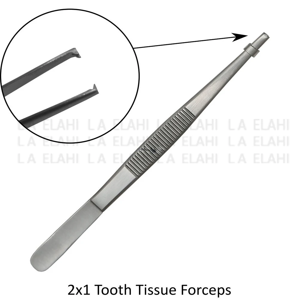 Набор для рассечения 2024 студентов студентов-медиков набор анатомии и биологии с футляр щипцов