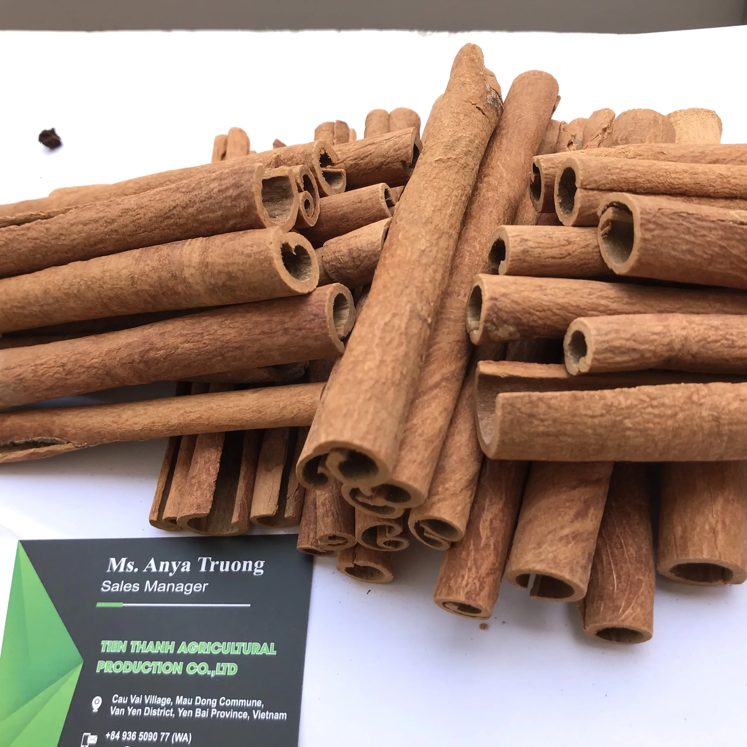 Stick Cinnamon /  Bastard Cinnamon / Canela de Cassia