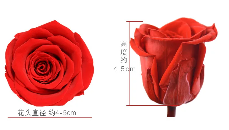 Настоящая свежая Роза ajas de flores secas Real