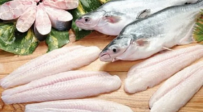 Pangasius ball/whatsapp:+