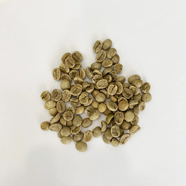 Price of raw coffee beans common coffe beans drinking robusta coffee bean