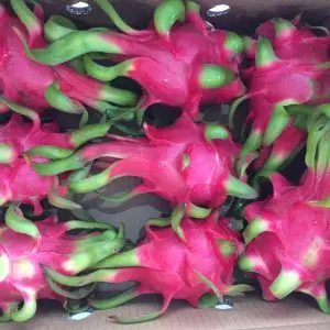 
Buy Fresh Dragon Fruit/ Pitaya With Good Price Origin Vietnam /KATIE N +84352310575 