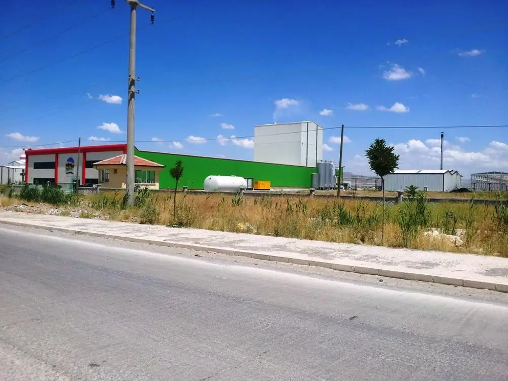 
High Protein Skimmed Milk Powder 