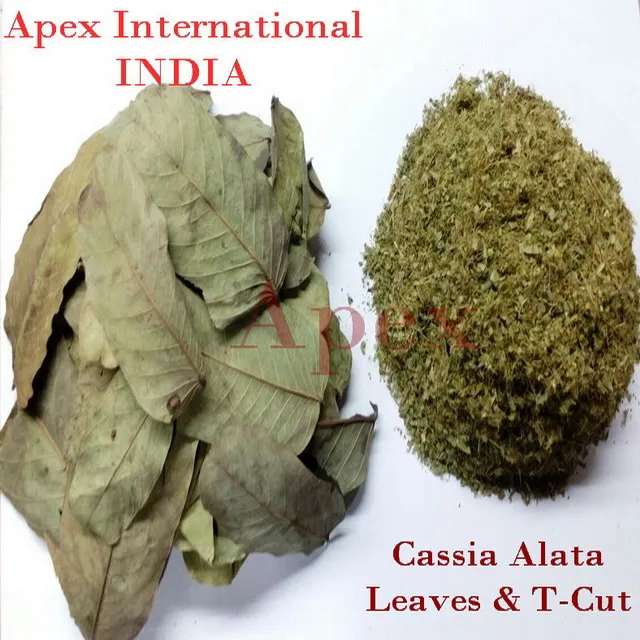 cassia alata t-cut- apex.jpg