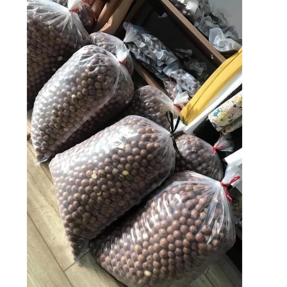 
Grade A Organic Dried Macadamia Nuts Shell Cracked in Zipper Bag Packaging 