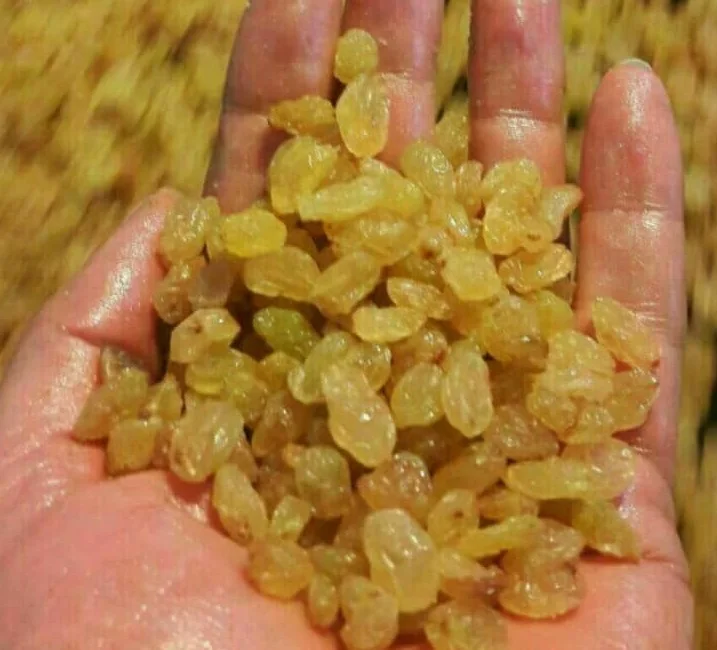 Wholesale Bulk Dried Fruits Golden Raisins Yellow Raisins