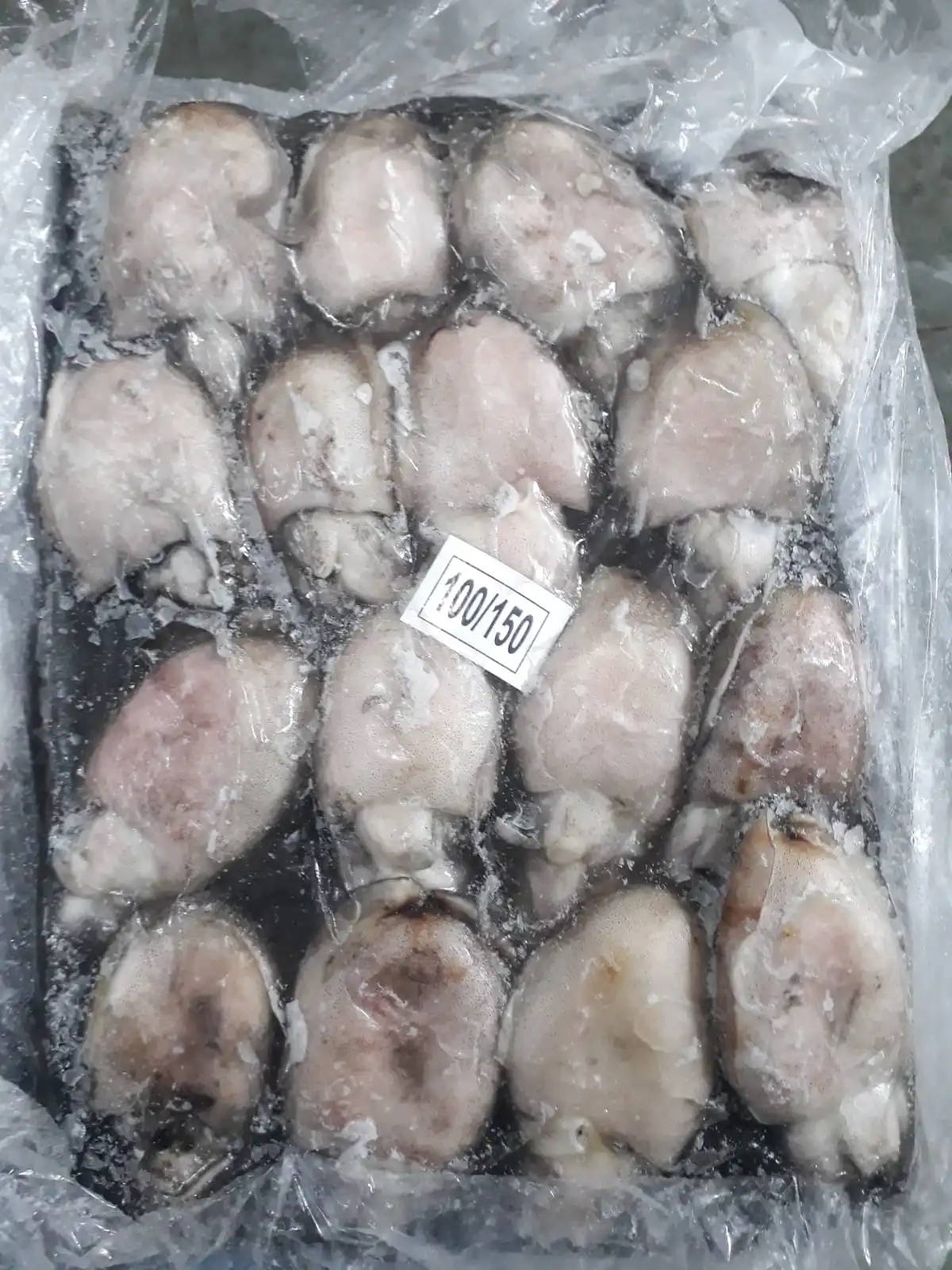 Высокое качество Замороженные тушки Каракатица блок из Индии