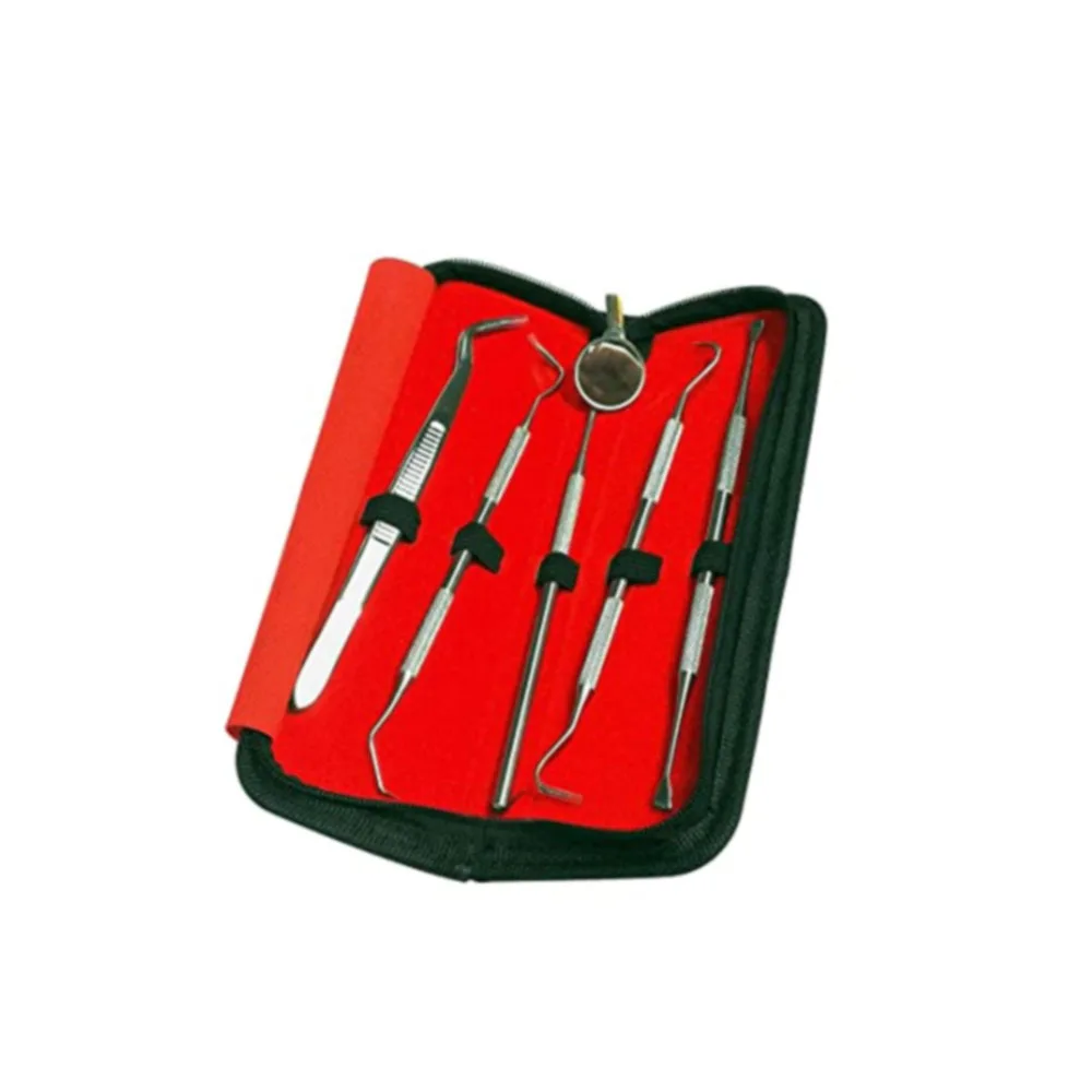 Professional Dental stainless steel quality dental instrument 10 english patron Extracting Forceps kit