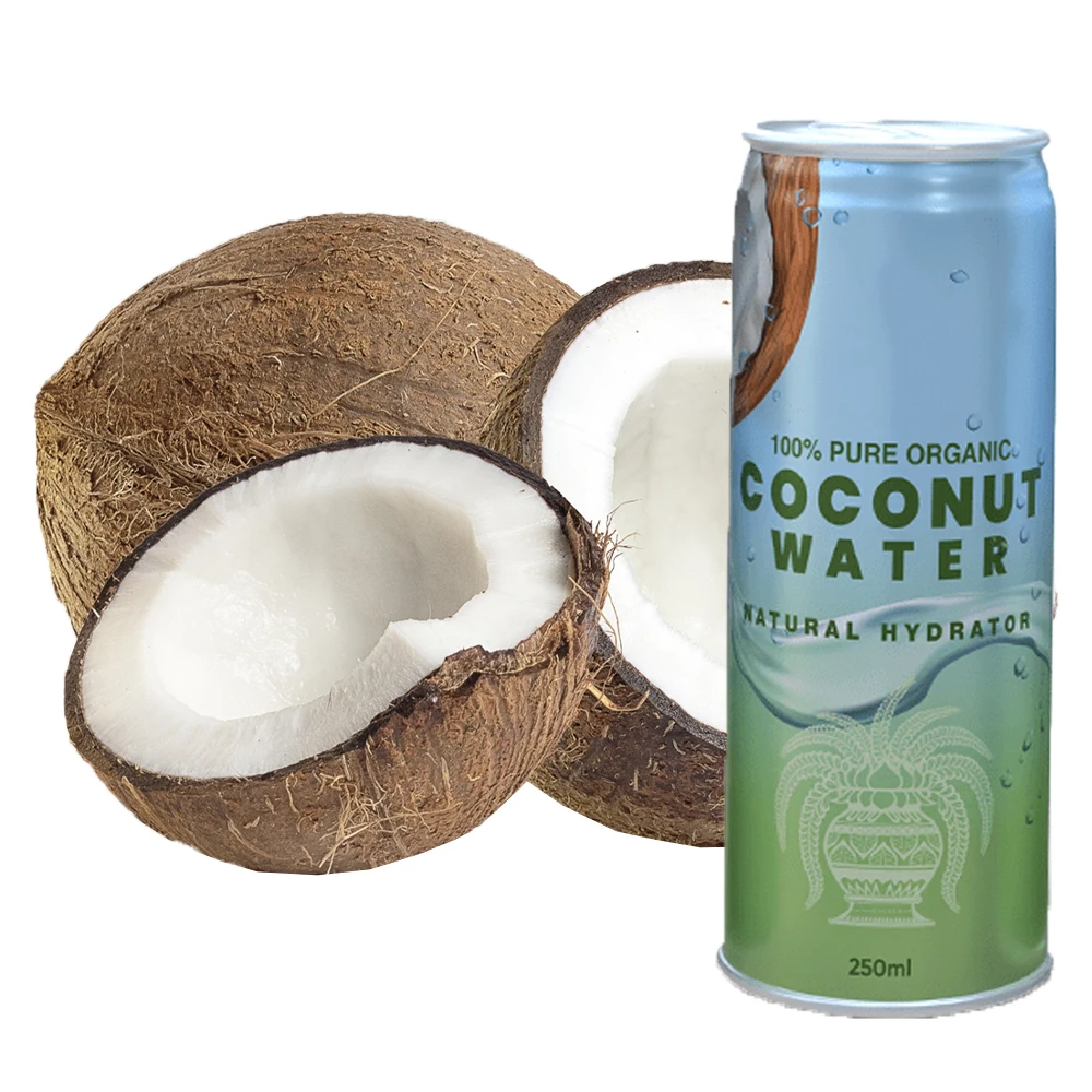 Wholesale Best Supplier 100% Natural Organic Low Sugar Content 250ml canned Packaging Fresh Coconut Water from Sri Lanka