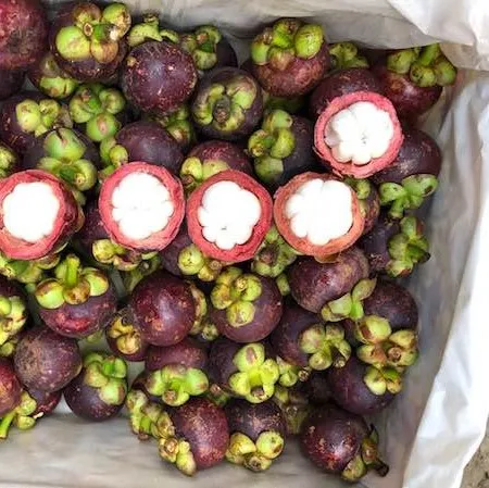 Fresh Fruit Organic - Mangosteen With Highest